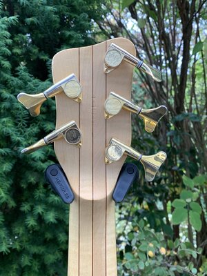 Warwick_Streamer_Headstock_back.jpg