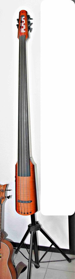 14 -  NS Design NXT 5 String AB.jpg