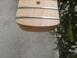 DSC02557.jpg DSC02557.jpg