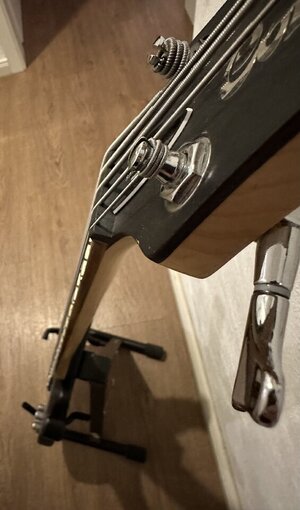 IMG_8337.jpeg