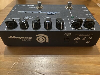 Ampeg Rückseite.jpg