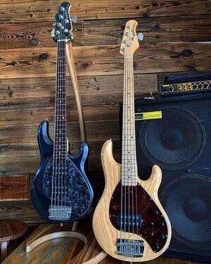 Musicman Stingray 5 duo 1800e/2000e