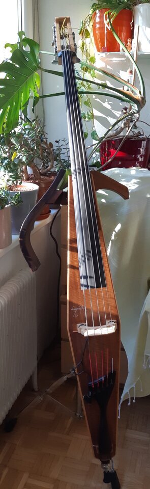 SimpleBass 5 Electro Double Bass