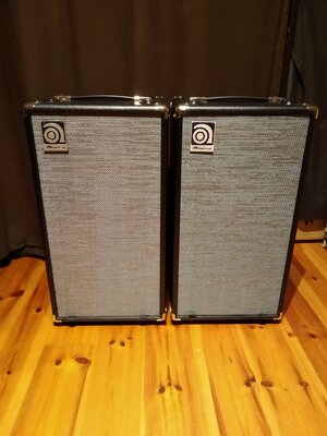 Ampeg SVT-210AV