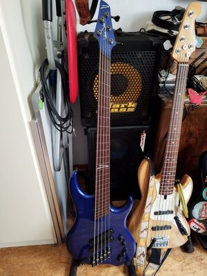 Dingwall Leland Sklar Signature Bass Blueberry