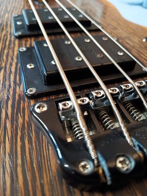 IMG_20231124_194541_388.jpg IMG_20231124_194541_388.jpg