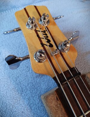 IMG_20231124_194630_464.jpg IMG_20231124_194630_464.jpg