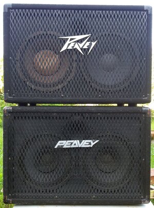Bassbox 10 Zoll 300 Watt Peavey Gehäuse Hughes & Kettner Speaker