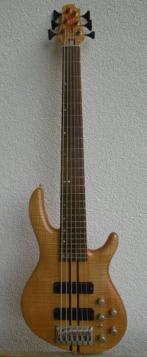 Cort A6 - mit Delano-Humbuckern und Aguilar-Elektronik