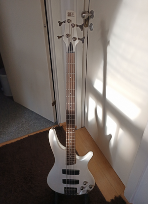 Ibanez SDGR