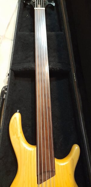Cort B5 fl