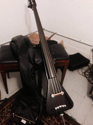 Suche streichbaren gebrauchten Upright Bass, der einem Kontrabass sehr nahe kommt