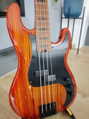 Schecter Diamond P-4 Exotic