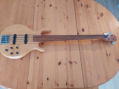 Pedulla Fretless Bass( gerne auch Tausch!)