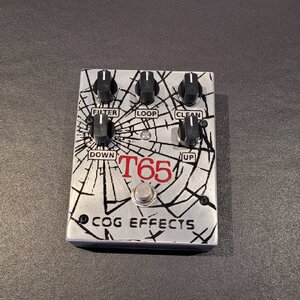 COG T-65 Analog Octaver (Schweiz)