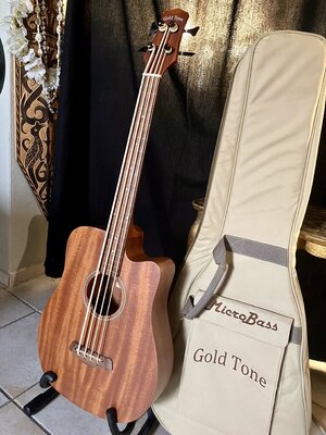 Gold Tone Micro Bass 25“ - pricedrop