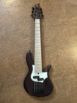 FBass VF-6 PJ von 2017 (6-Saiter E-Bass)