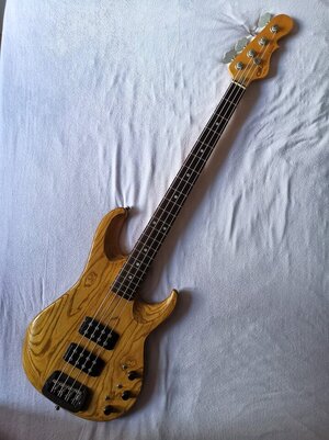 SUCHE : G&L L2000 Bass, Tribute oder USA, Tausch oder Kauf möglich!