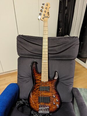 ESP LTD Surveyor-405 5-Saiter