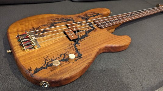 PXL_20240106_093706377.jpg PXL_20240106_093706377.jpg