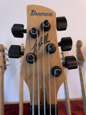 Ibanez Gary Willis GWB-1 - 4.JPG