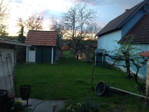 IMG_0100.JPG