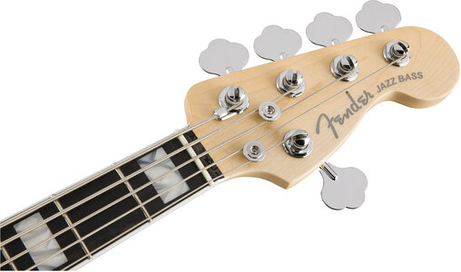 Suche Fender Jazz Bass 5 / Deluxe / Standard or  Lakland 5501 5502