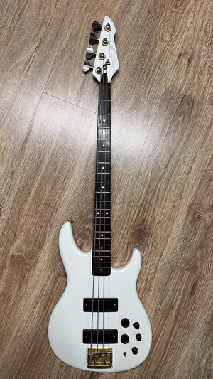 Peavey Dyna Bass USA 1990‘s