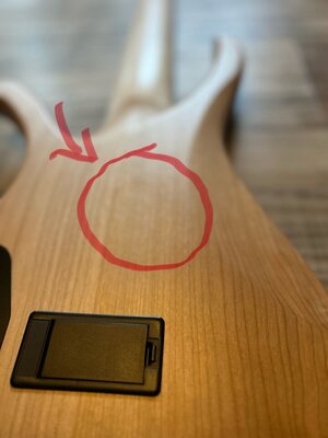 IMG_3328.jpeg
