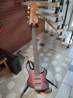 Börjes JB 5-Saiter fretless