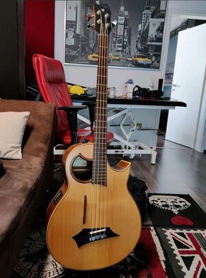 Warwick Alien Akustik Bass Lakewood