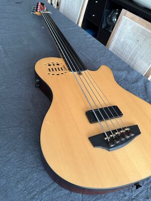 Godin A5 Ultra Fretless