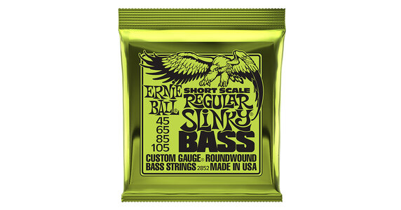 Ernie Ball Slinky ..neu..