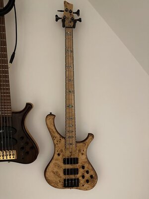 IMG_3317.jpeg