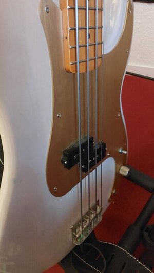 Suche Jazz Bass