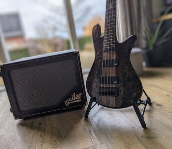 Aguilar SL112