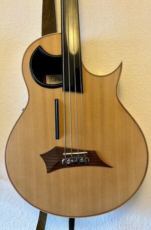 Warwick The Alien Akustik Fretless Bass