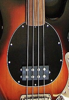 Suche US MusicMan Stingray oder Sterling fretless