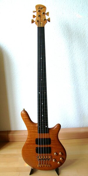 5-Saiter fretless, custom-made