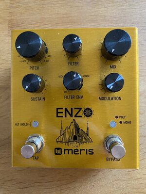 Meris Enzo