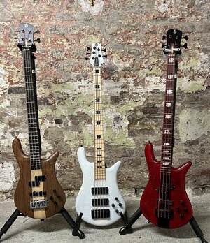 IMG_1848.jpeg IMG_1848.jpeg