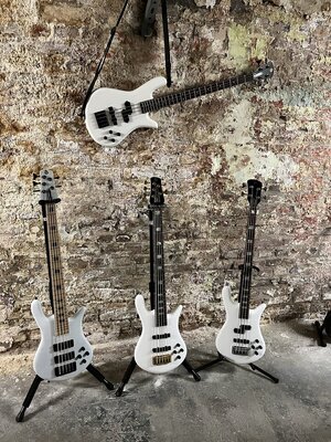 IMG_1835.jpeg IMG_1835.jpeg