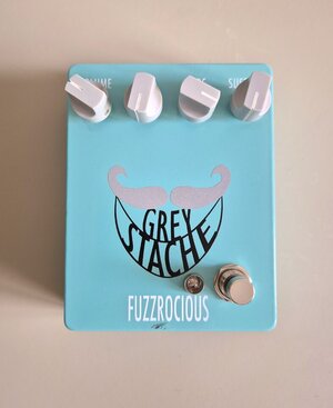 Fuzzrocious Grey Stache