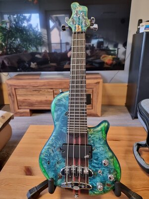 Mayones Cali 4