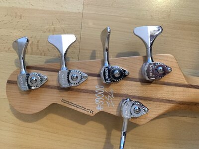 Reverend_Mercalli_5_Headstock_back.jpg