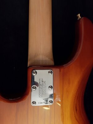 Neckplate.jpg Neckplate.jpg