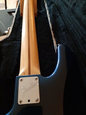 Neckplate.jpg Neckplate.jpg