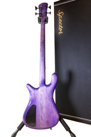 Spector_Purple_4.jpg