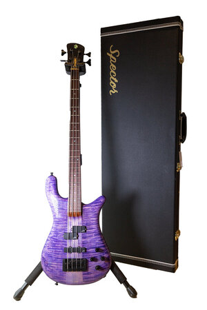 Spector_Purple_1.jpg