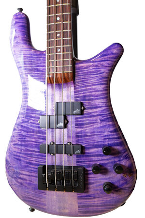 Spector_Purple_2.jpg